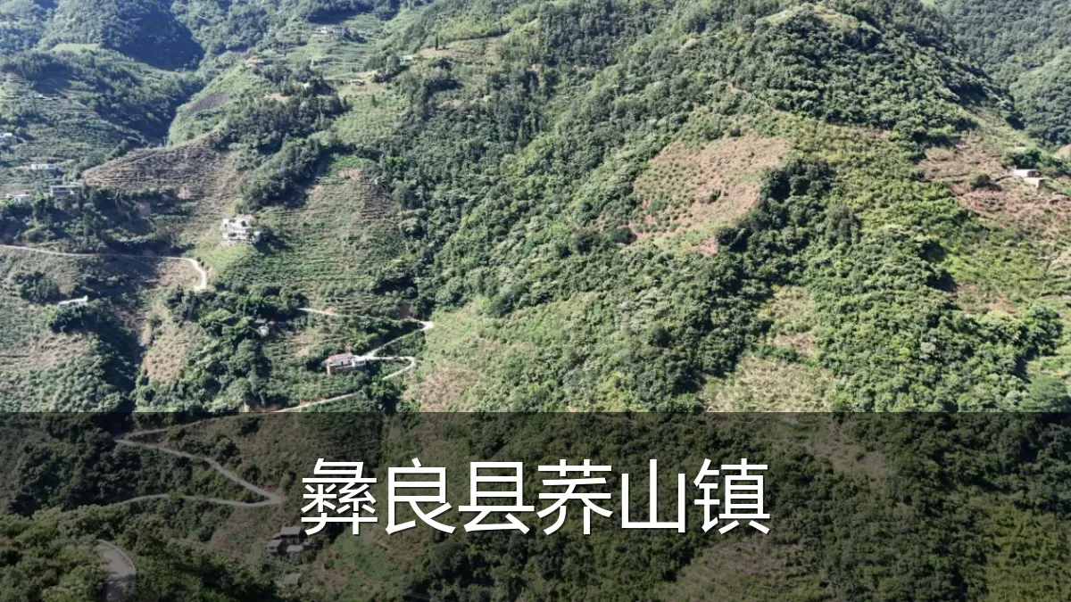 彝良县荞山镇