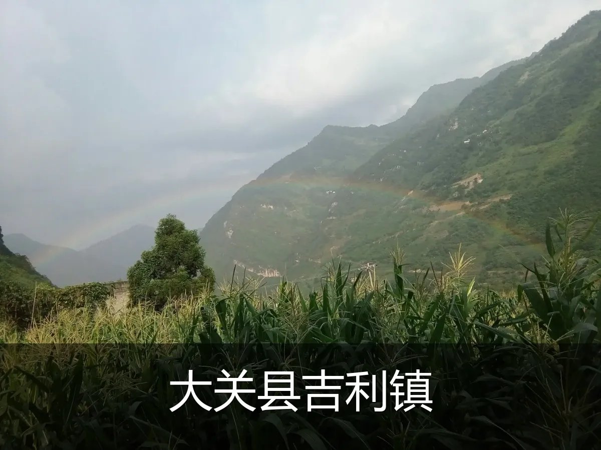 大关县吉利镇
