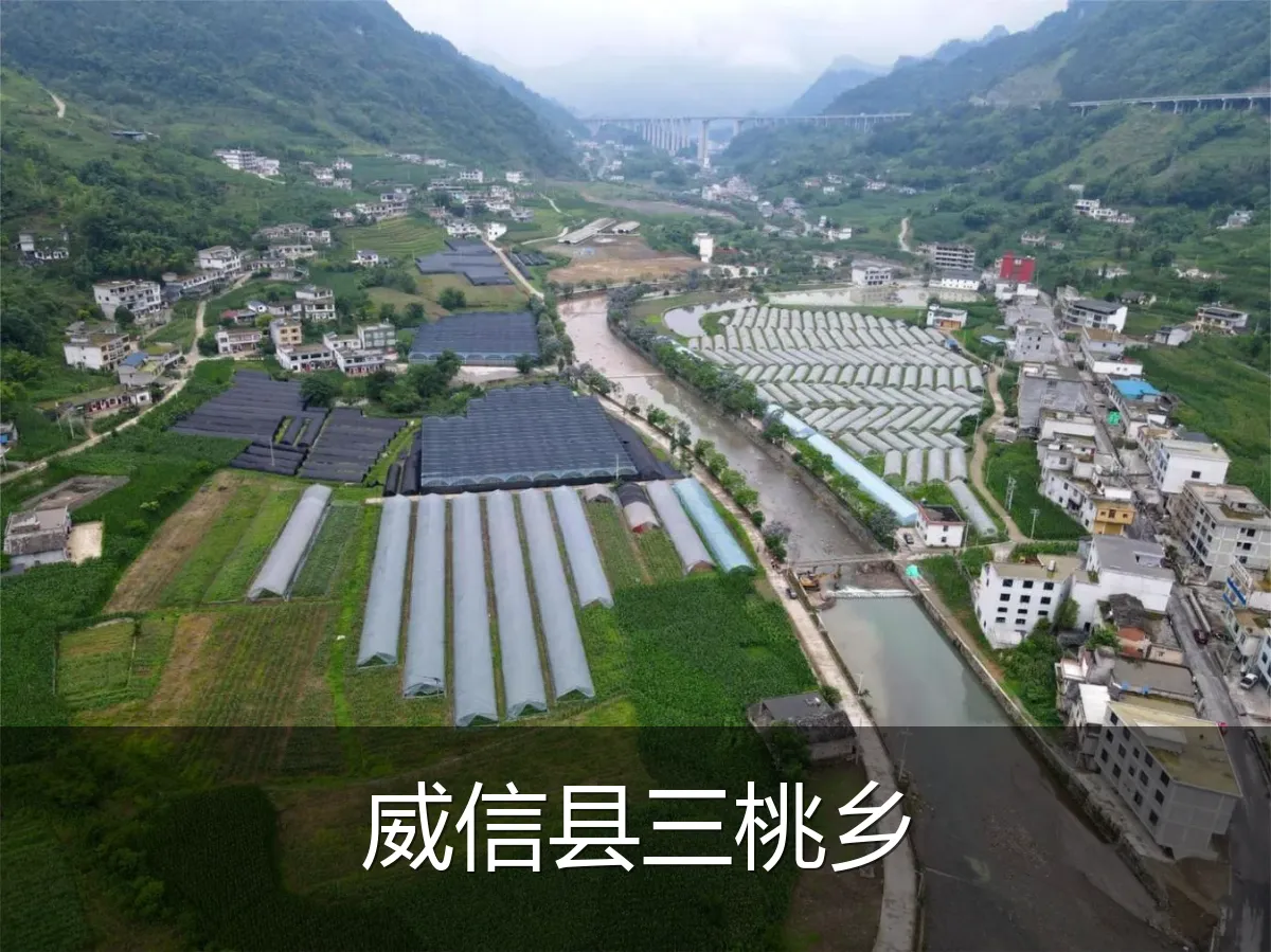 威信县三桃乡