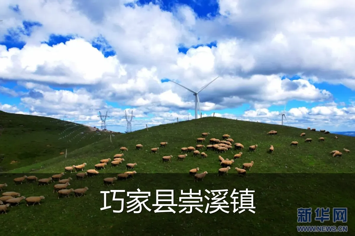 巧家县崇溪镇