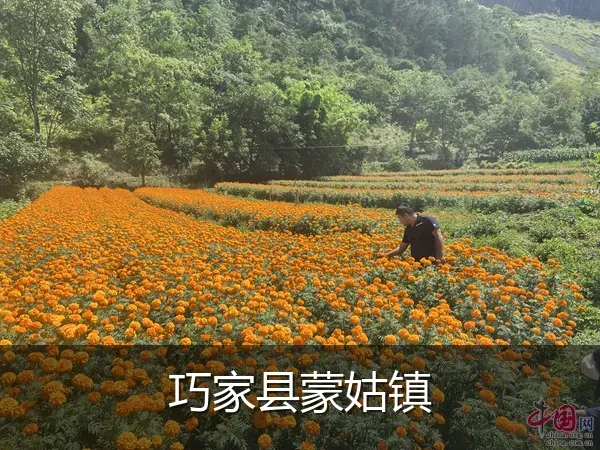 巧家县蒙姑镇