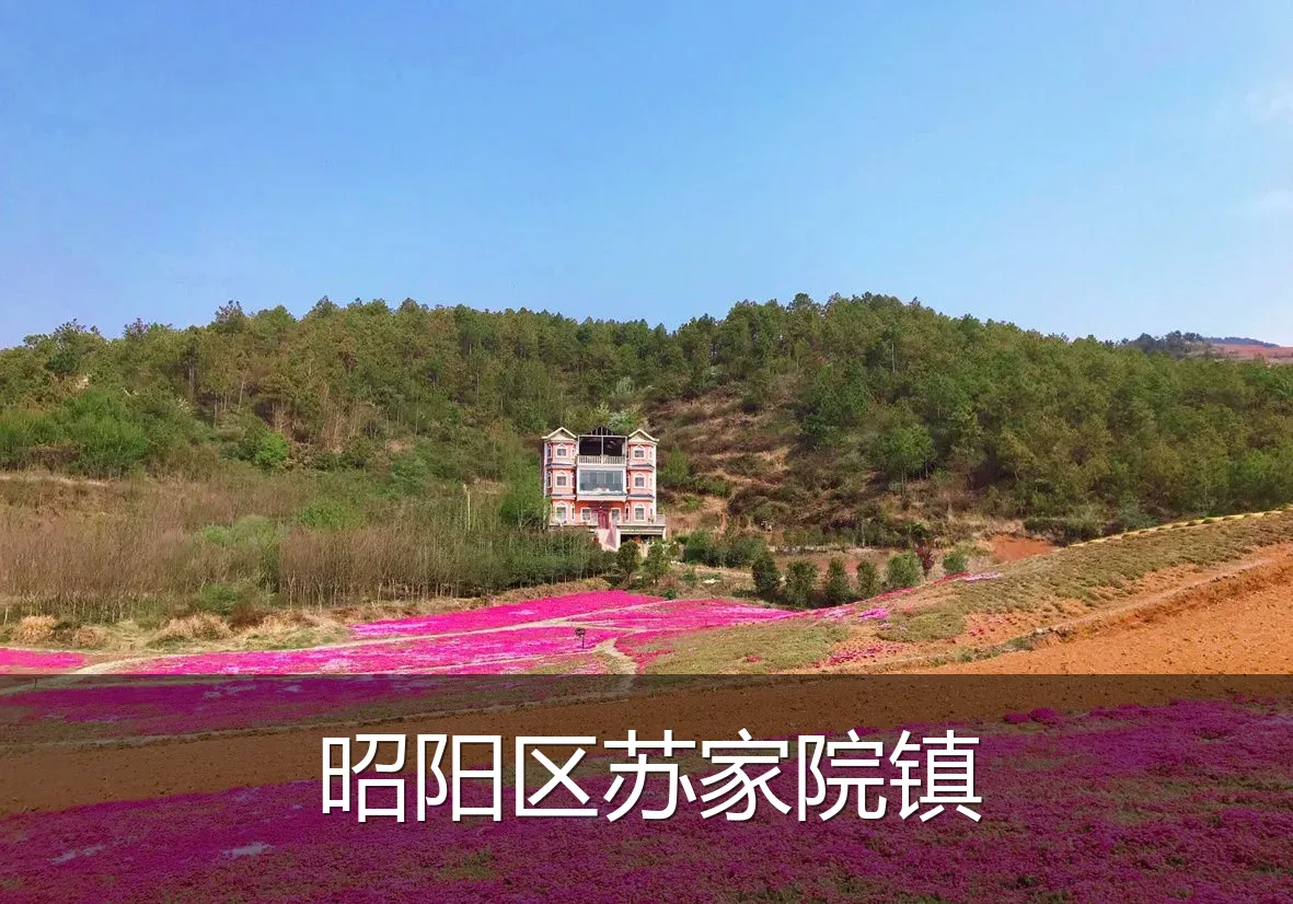 昭阳区苏家院镇