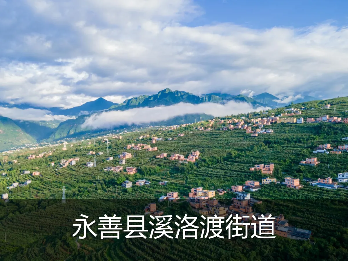 永善县溪洛渡街道