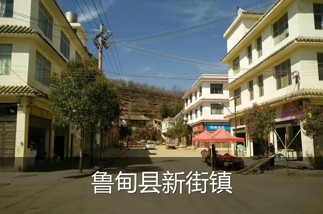 鲁甸县新街镇