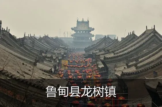 鲁甸县龙树镇
